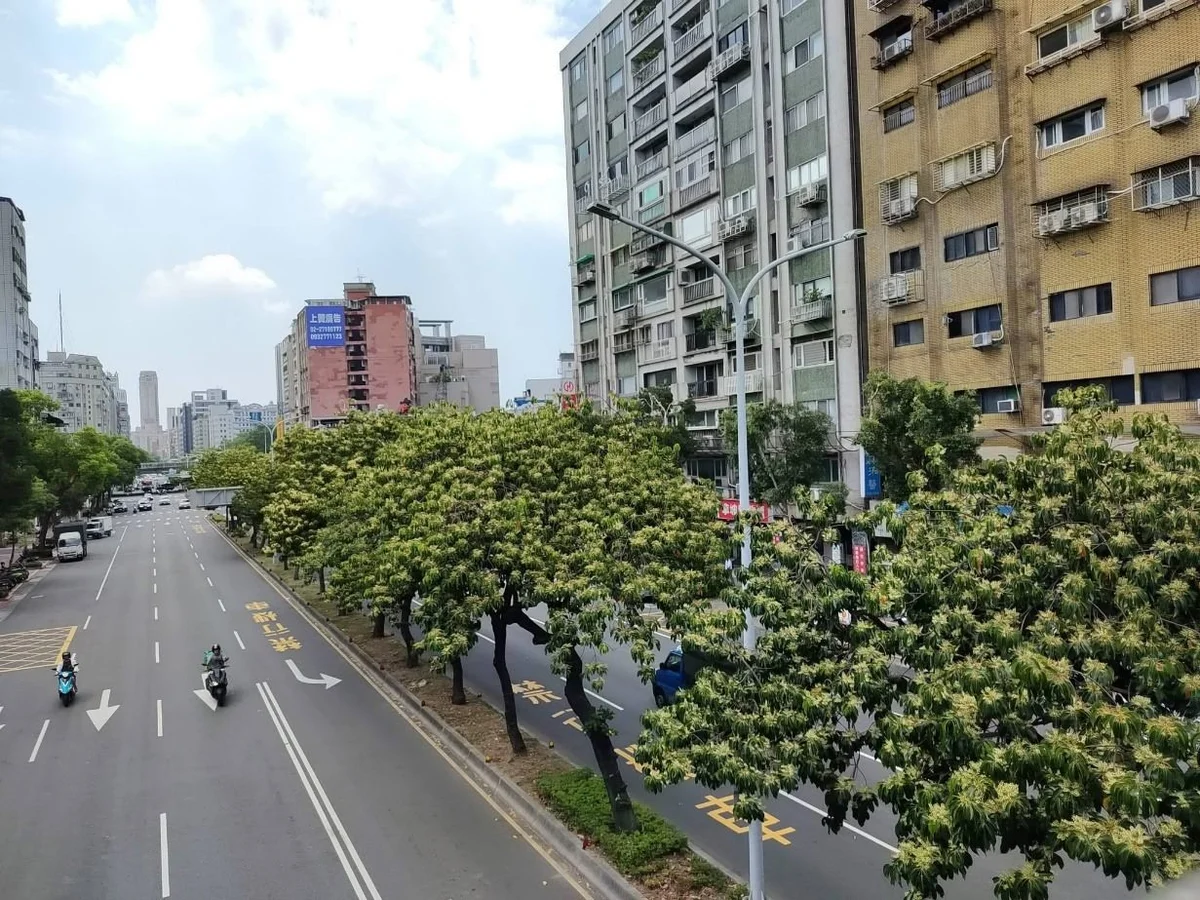 圖片來源：澄傳媒