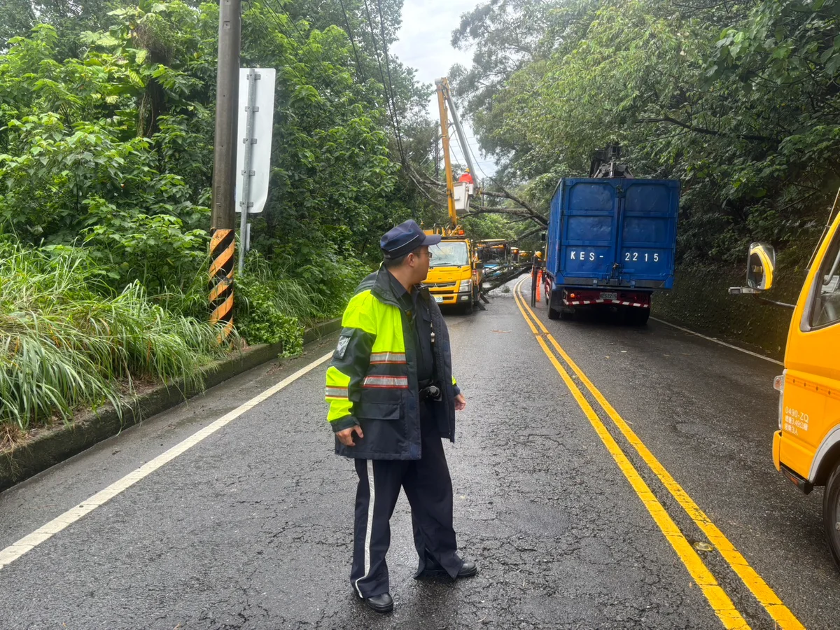 員林員草路路樹突倒塌　警與台電接力排除恢復通行