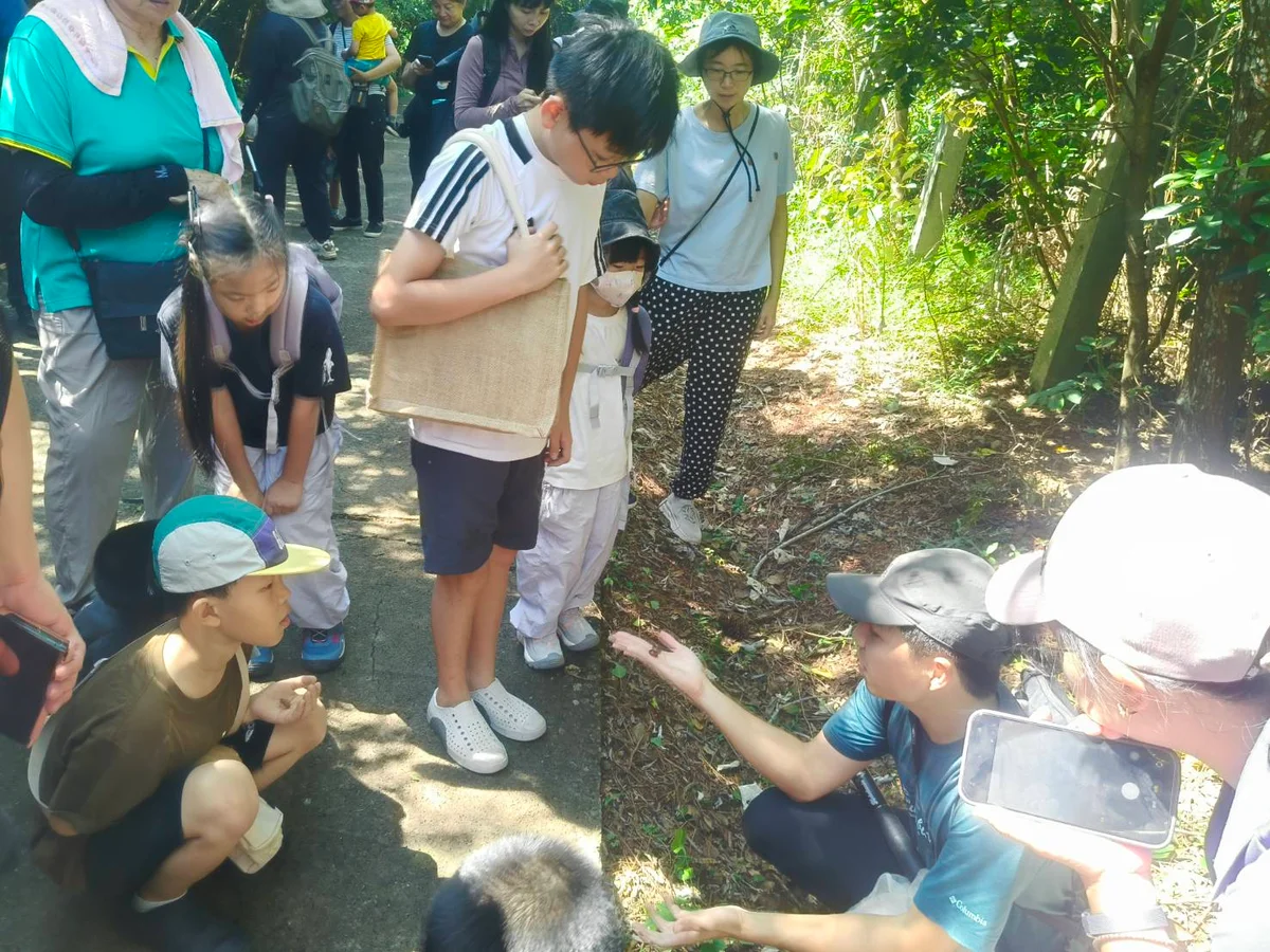 跟著螢火蟲老師找線索 湖口古道變身生態教室