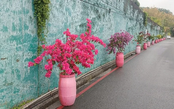 圖片來源:澄傳媒