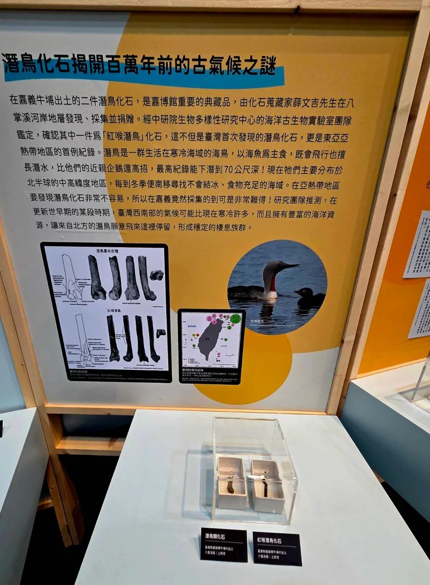 圖片來源:在地新聞
