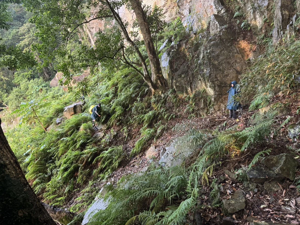兩人虎加縱走迷途 泰安消防協助晚間返回登山口