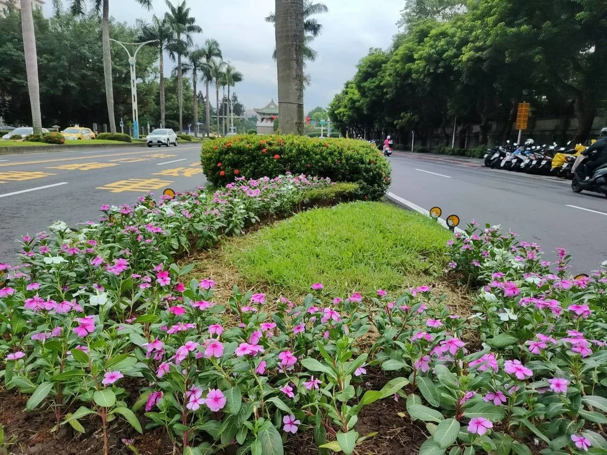 圖片來源：澄傳媒