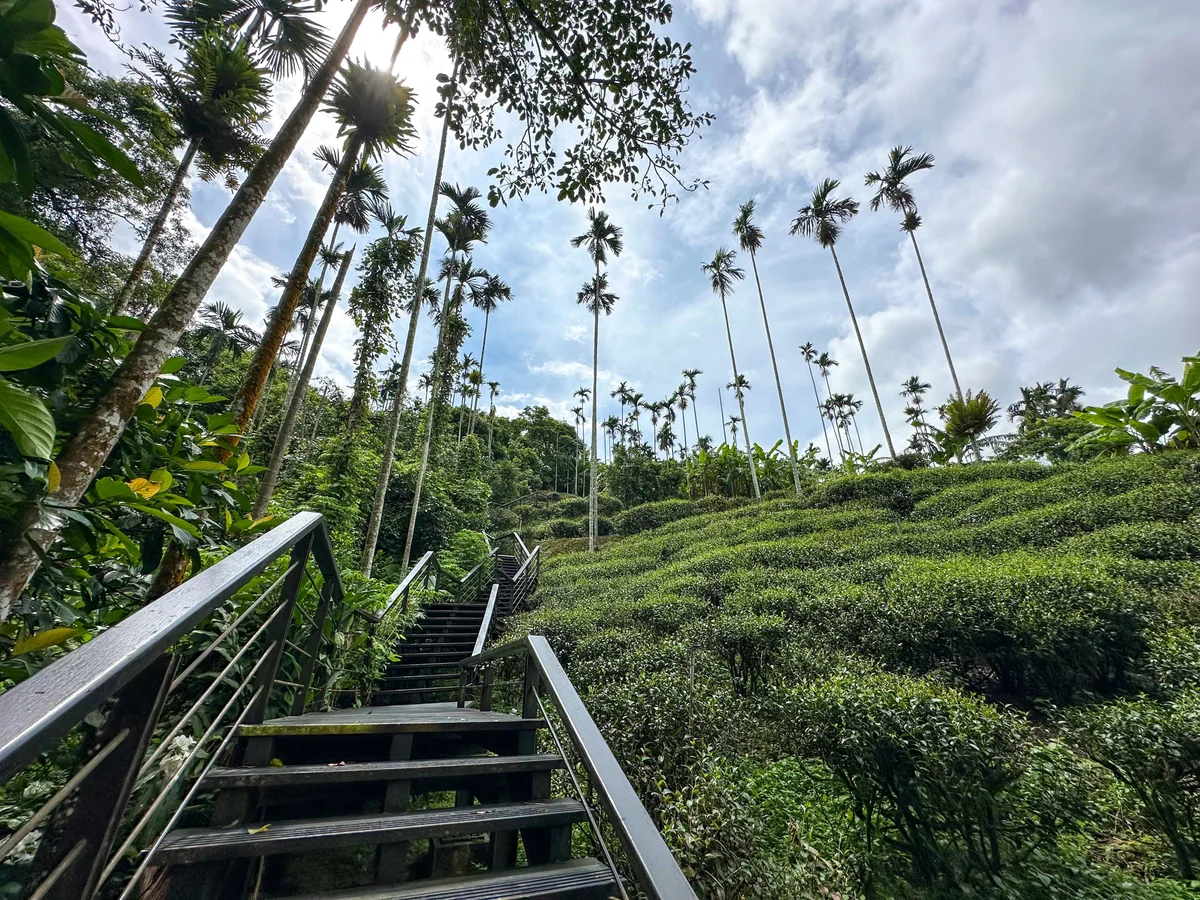 圖片來源：澄傳媒
