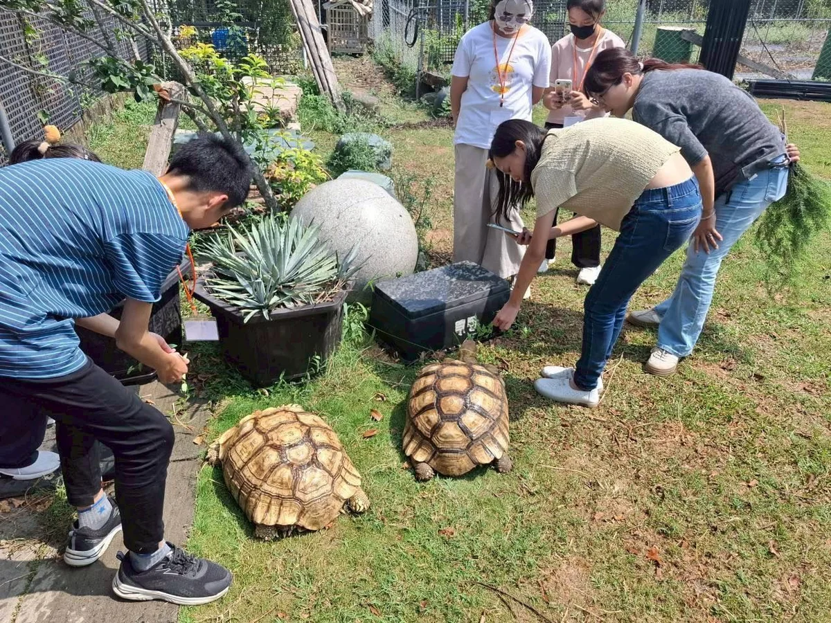 圖片來源:澄傳媒