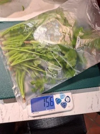 圖片來源：在地新聞