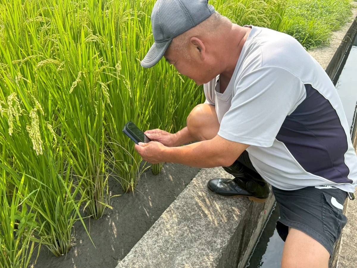 圖片來源:澄傳媒