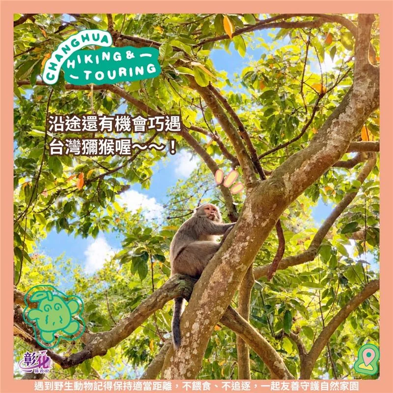 圖片來源：澄傳媒