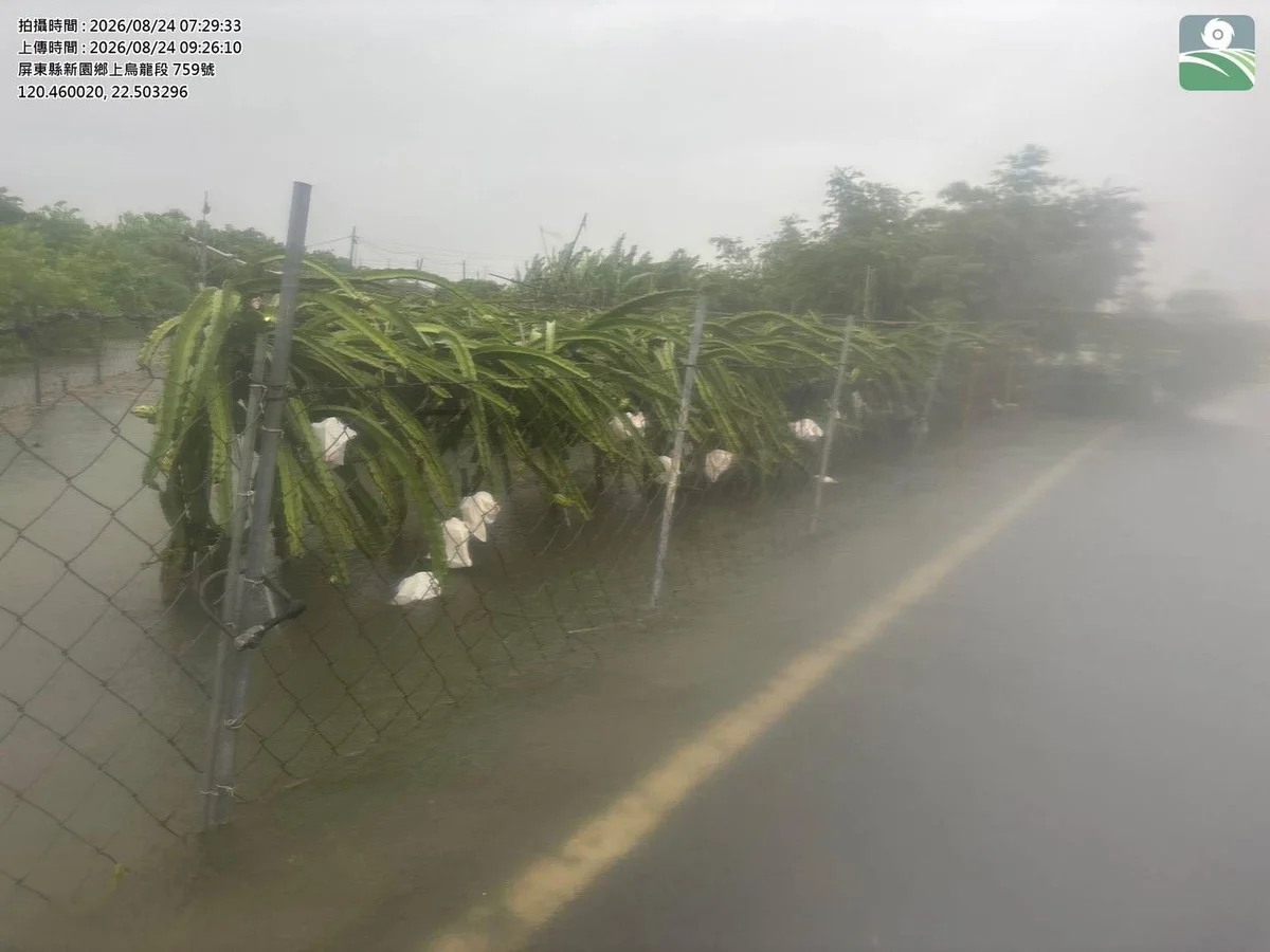 圖片來源:澄傳媒