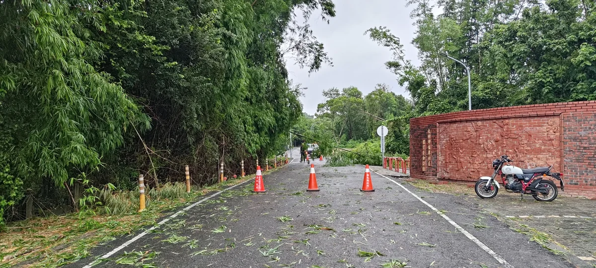 大村山腳路樹倒橫阻車道 村上警民合力清出通路