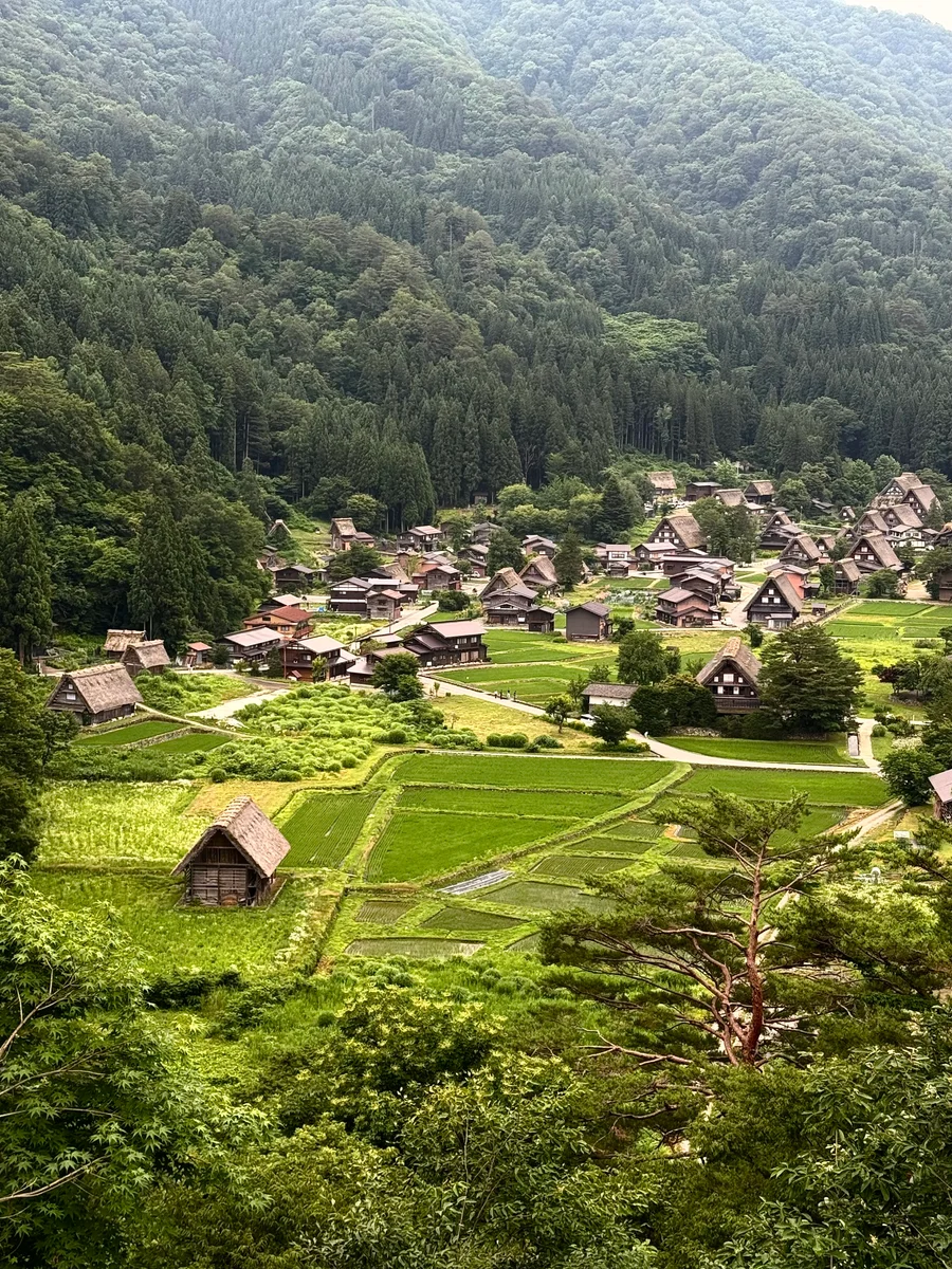 圖片來源:在地新聞