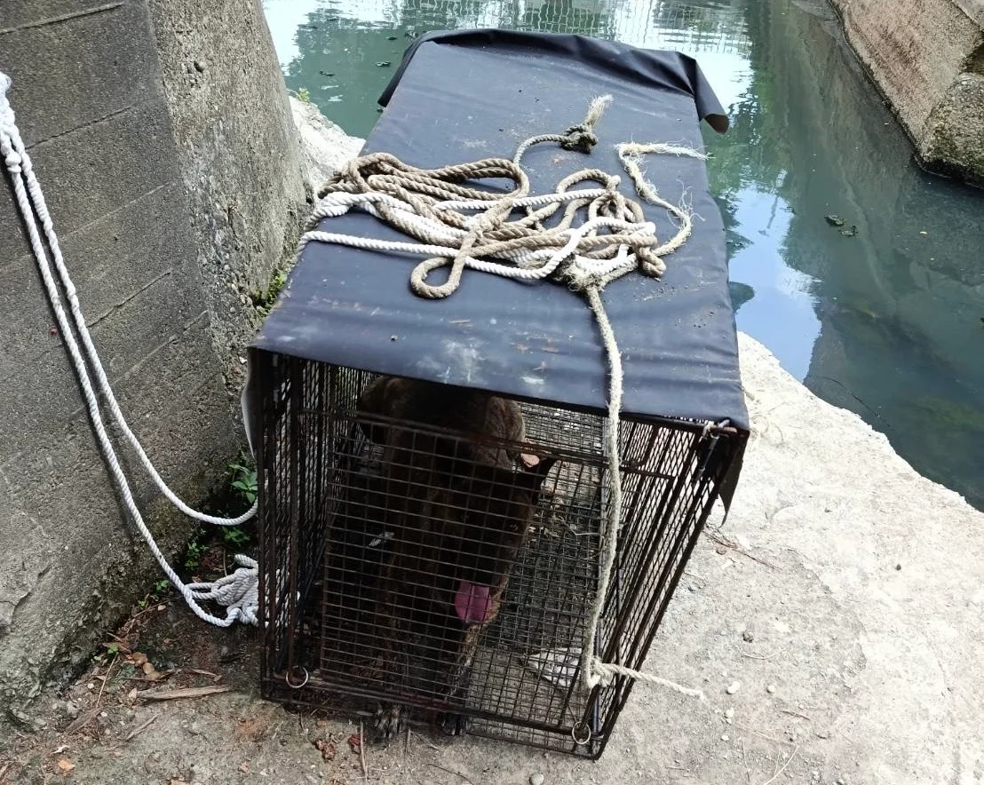 圖片來源：澄傳媒