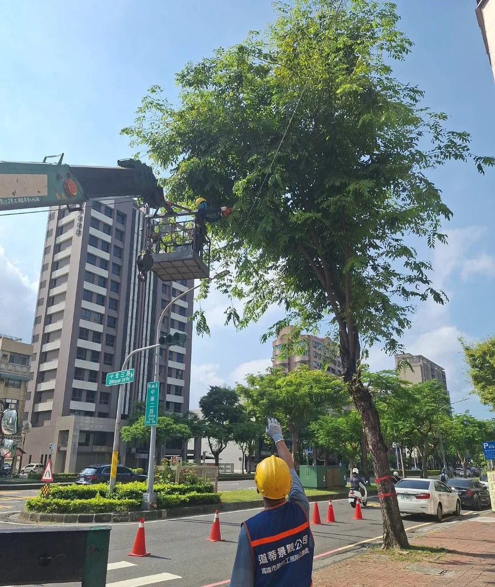 圖片來源:在地新聞
