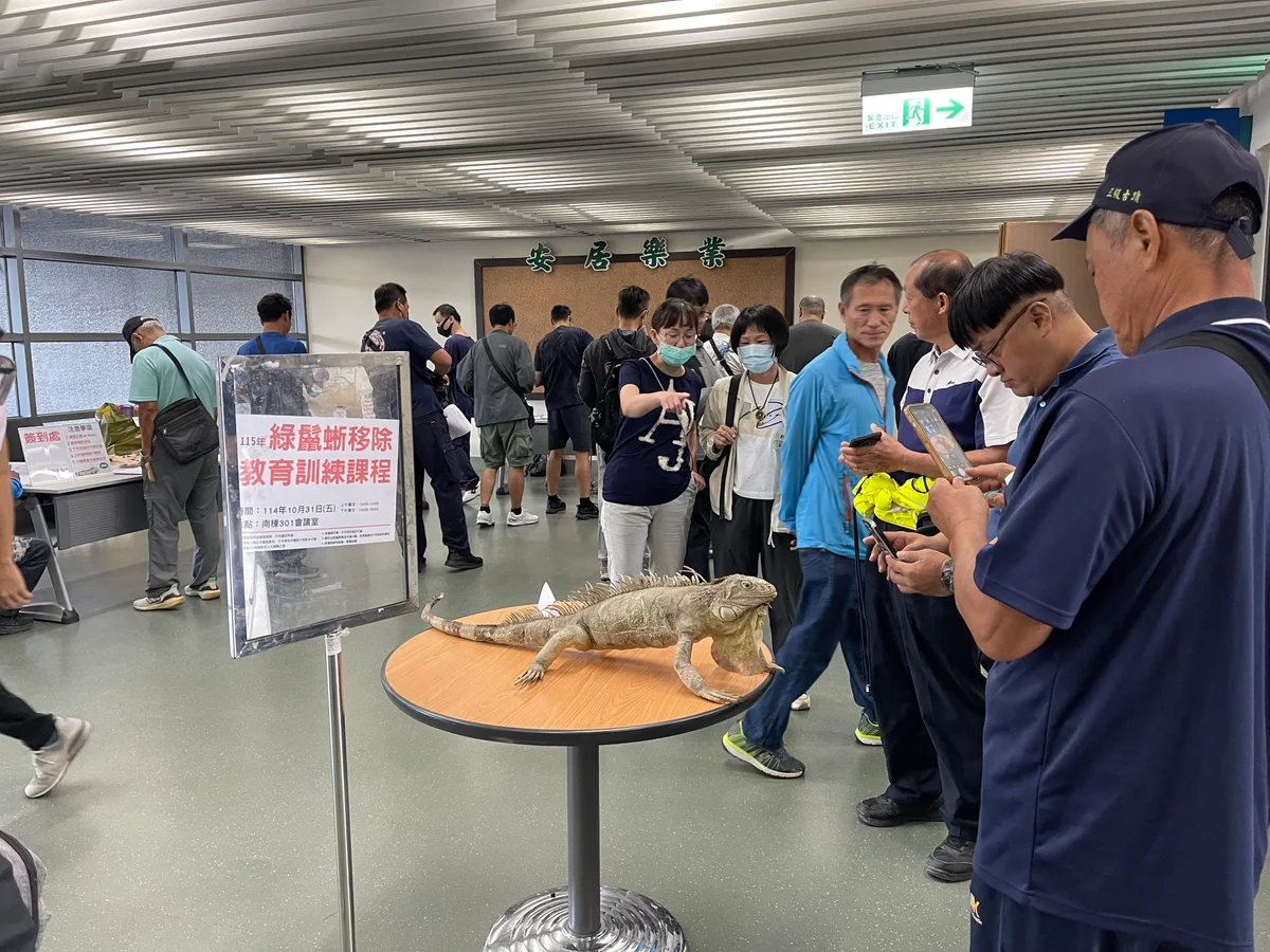 屏東培訓綠鬣蜥移除人力 六場課程九月二十二日開放報名