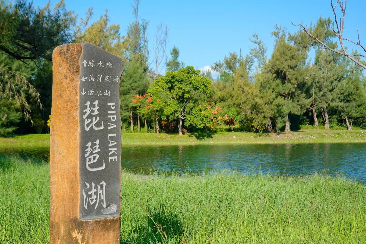 手持地圖跑進台東森林公園　定向越野串起深度旅行