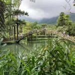 水里自由路6月19日有藝術節　陸上龍舟接續「神火水里」登場