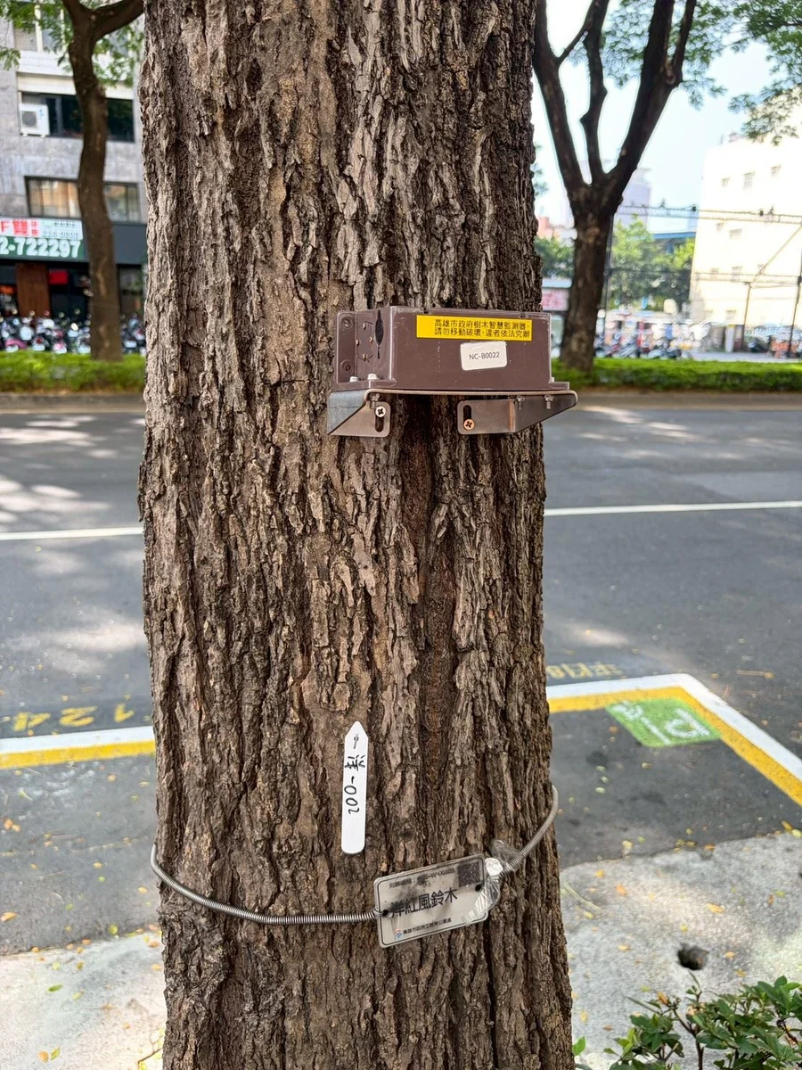 圖片來源:澄傳媒