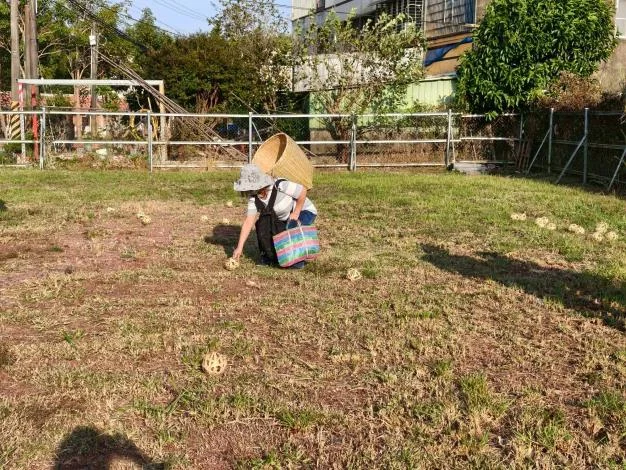 圖片來源：在地新聞