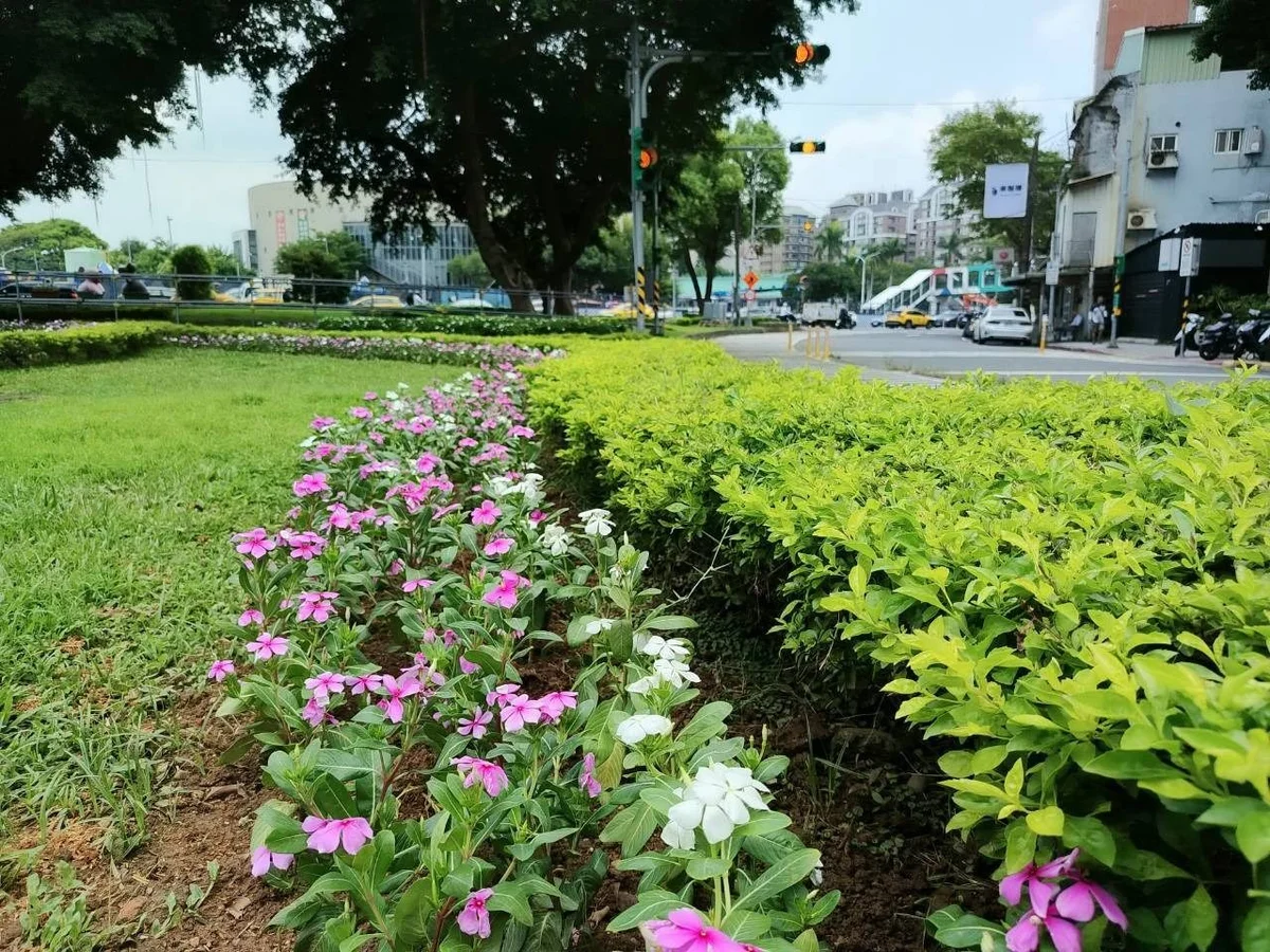 圖片來源：澄傳媒