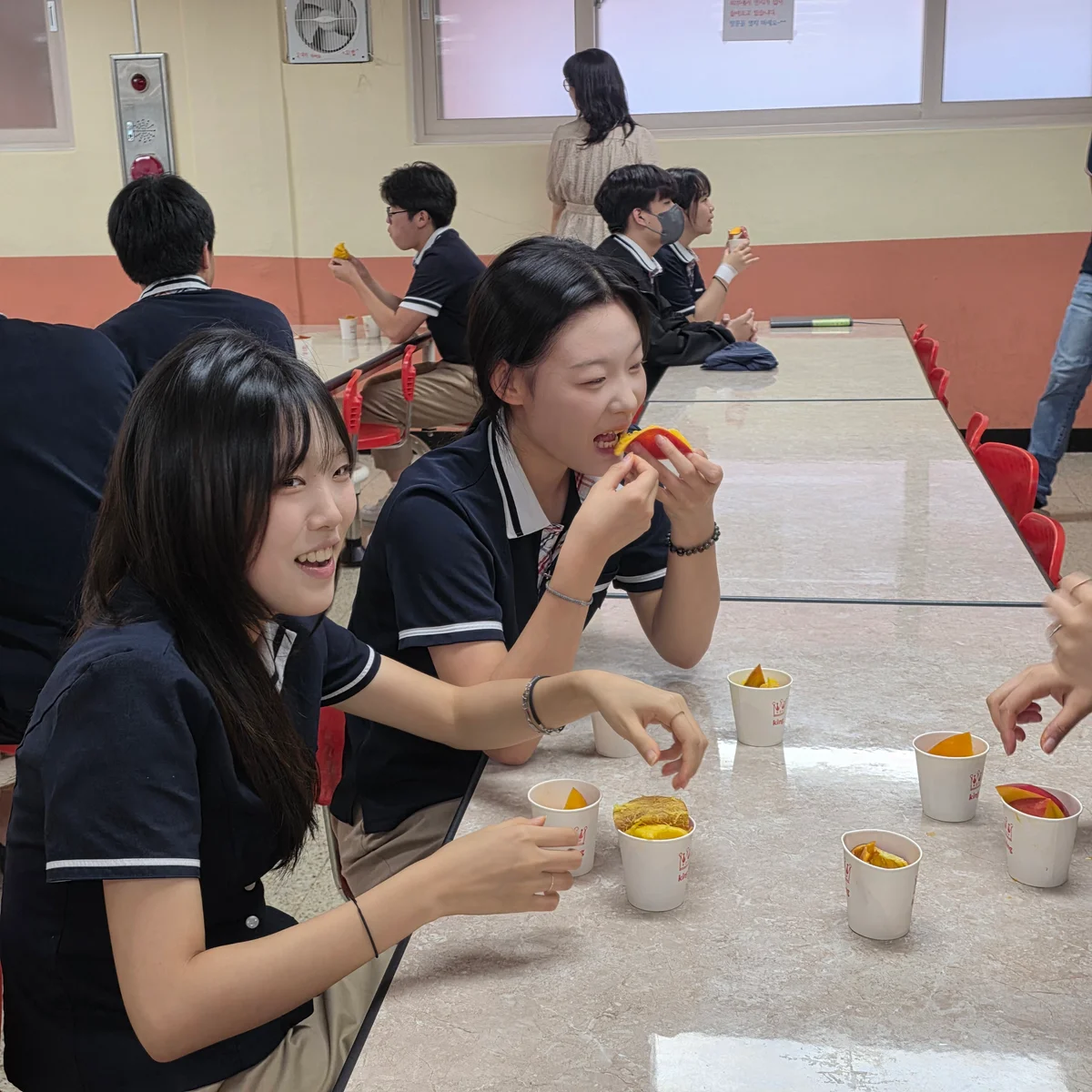 從鳳梨到愛文芒果 臺南和平澤校園交流再添一味