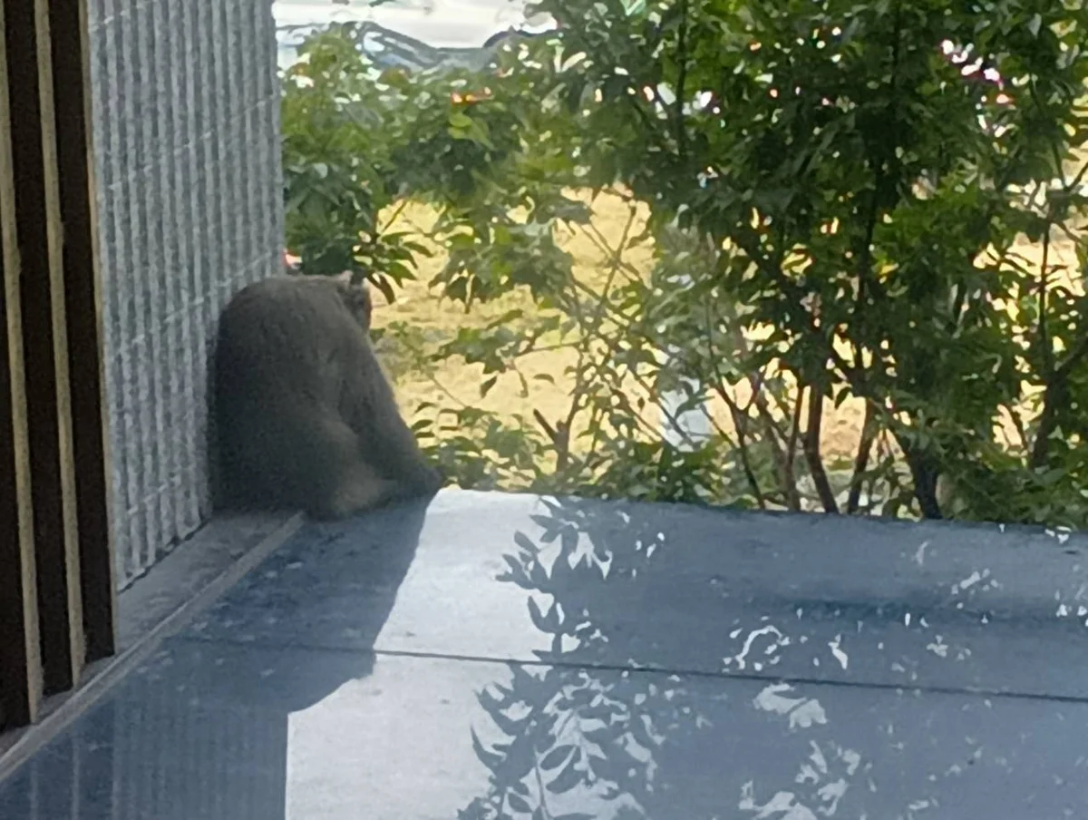 圖片來源:澄傳媒