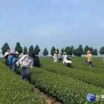 圖片來源:在地新聞