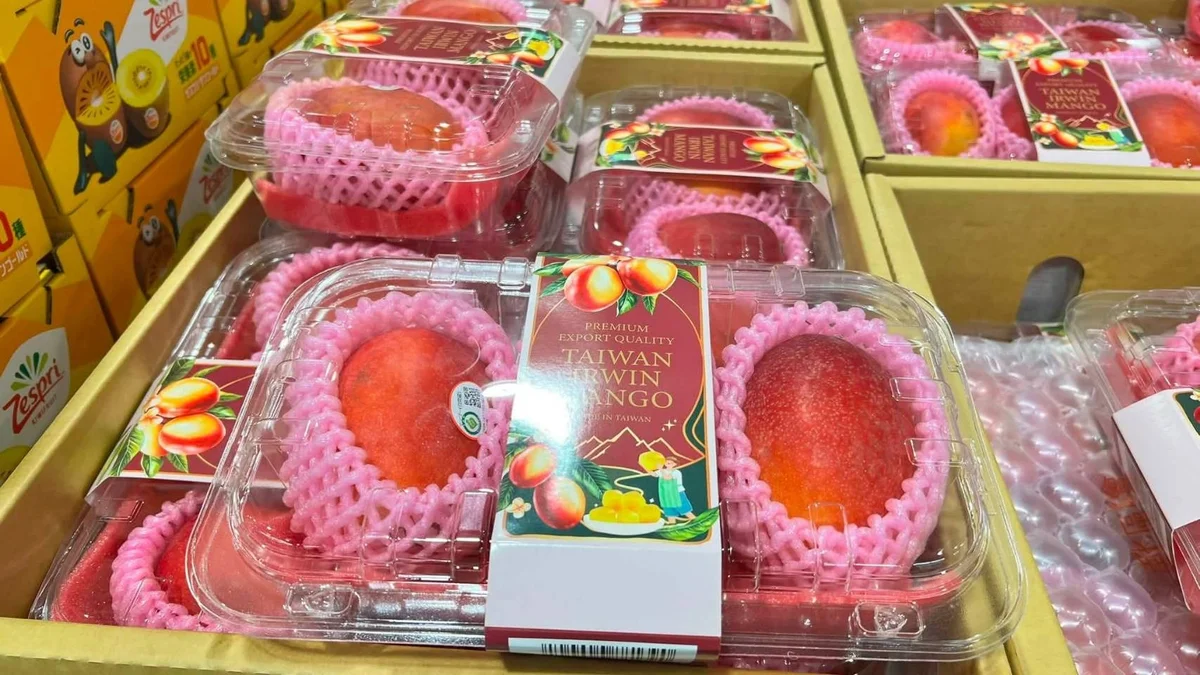 圖片來源:在地新聞
