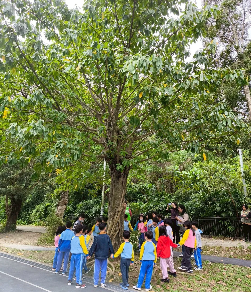 從大樹到馬明潭　台北環教遊學八課程開放申請