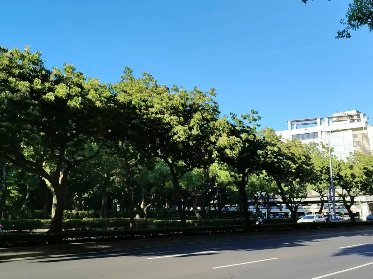 圖片來源：澄傳媒