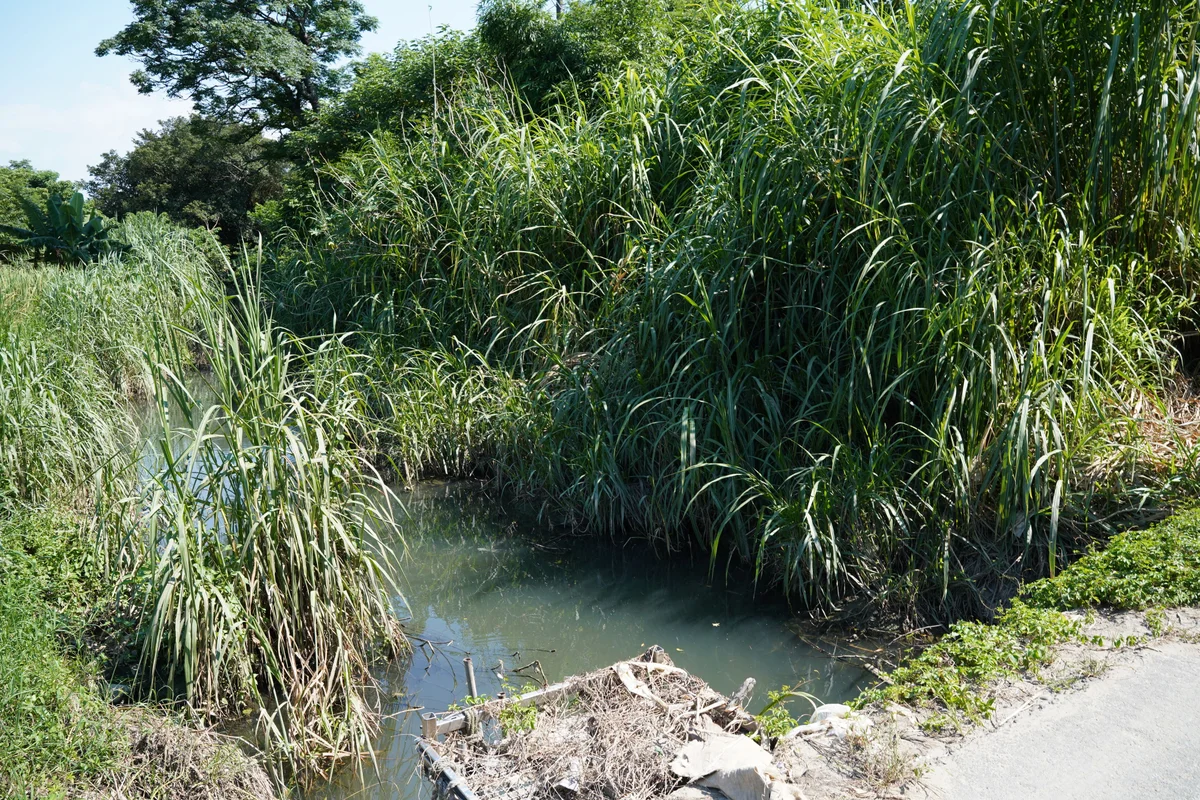 圖片來源:在地新聞