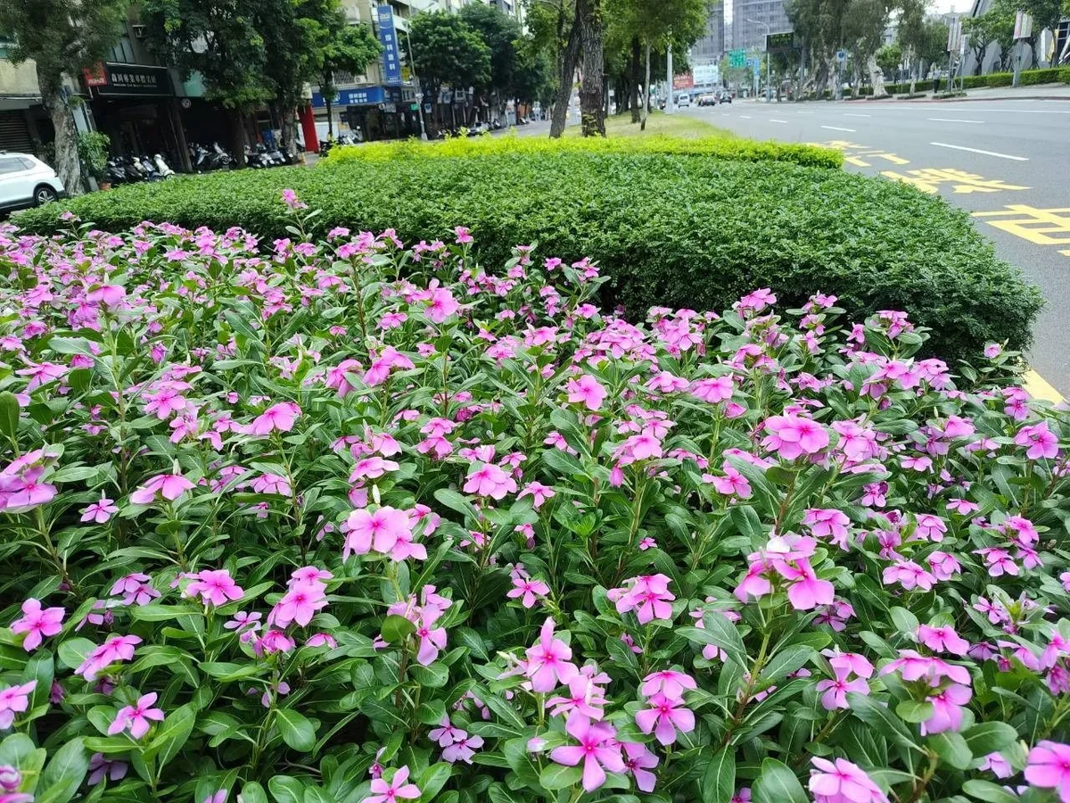 圖片來源:地新聞