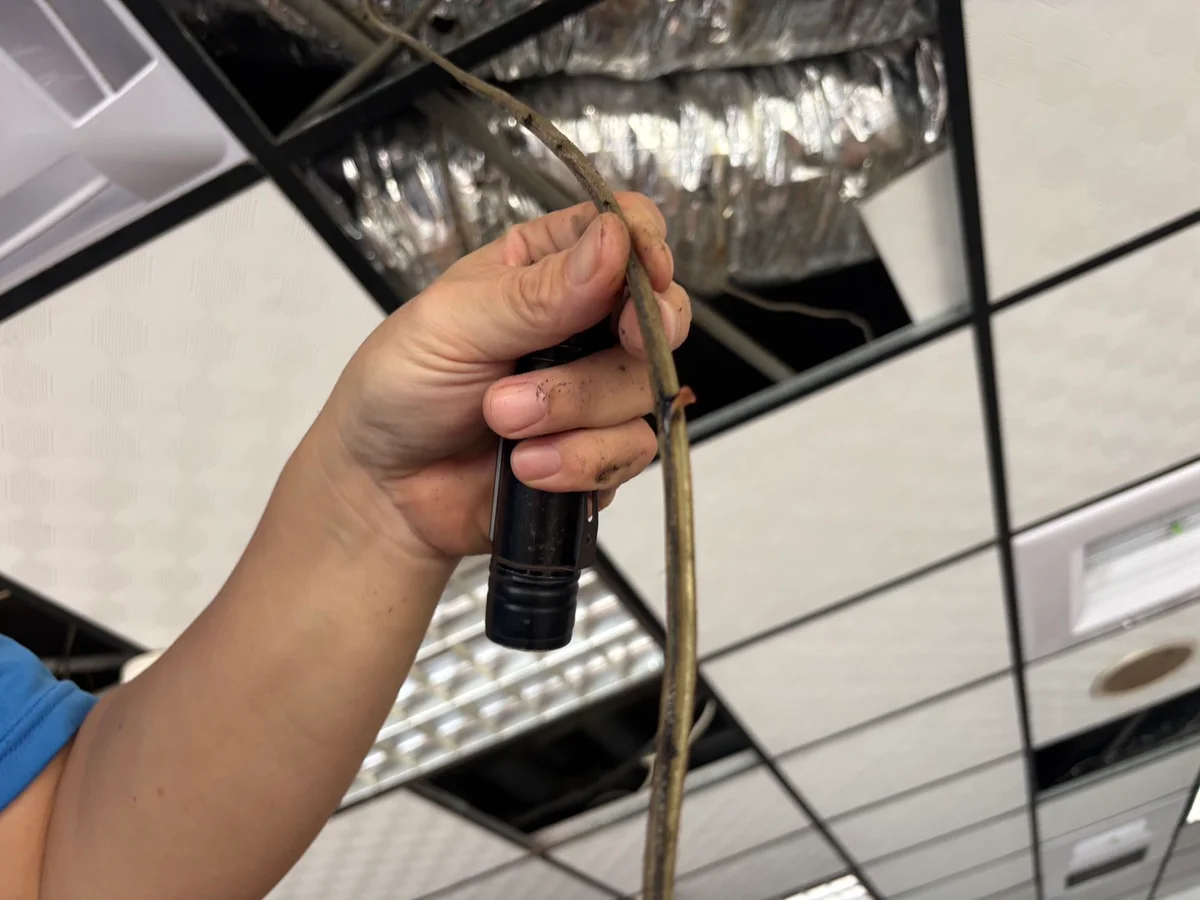 圖片來源:澄傳媒