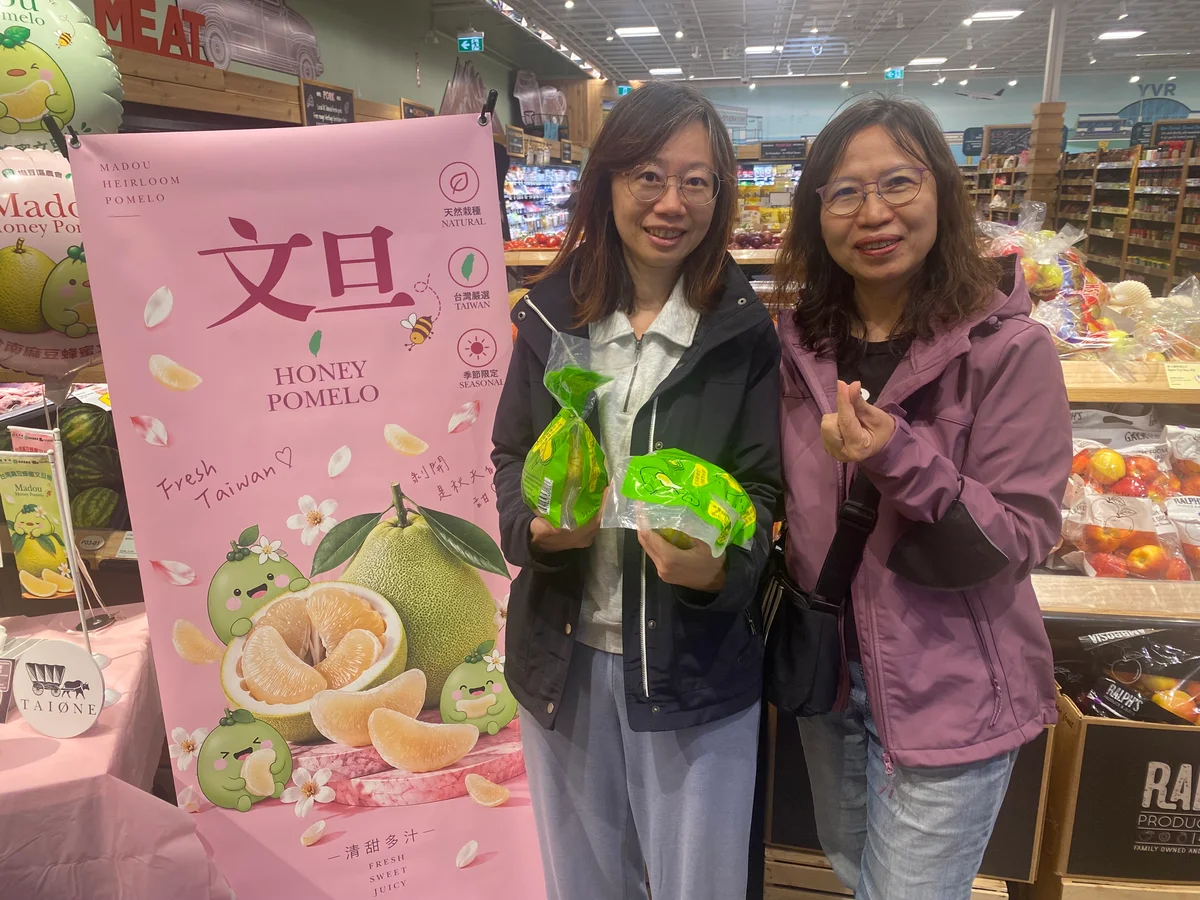 麻豆文旦大果登上加拿大超市 冷鏈守住跨洋鮮度