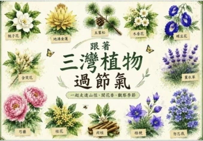 圖片來源:在地新聞