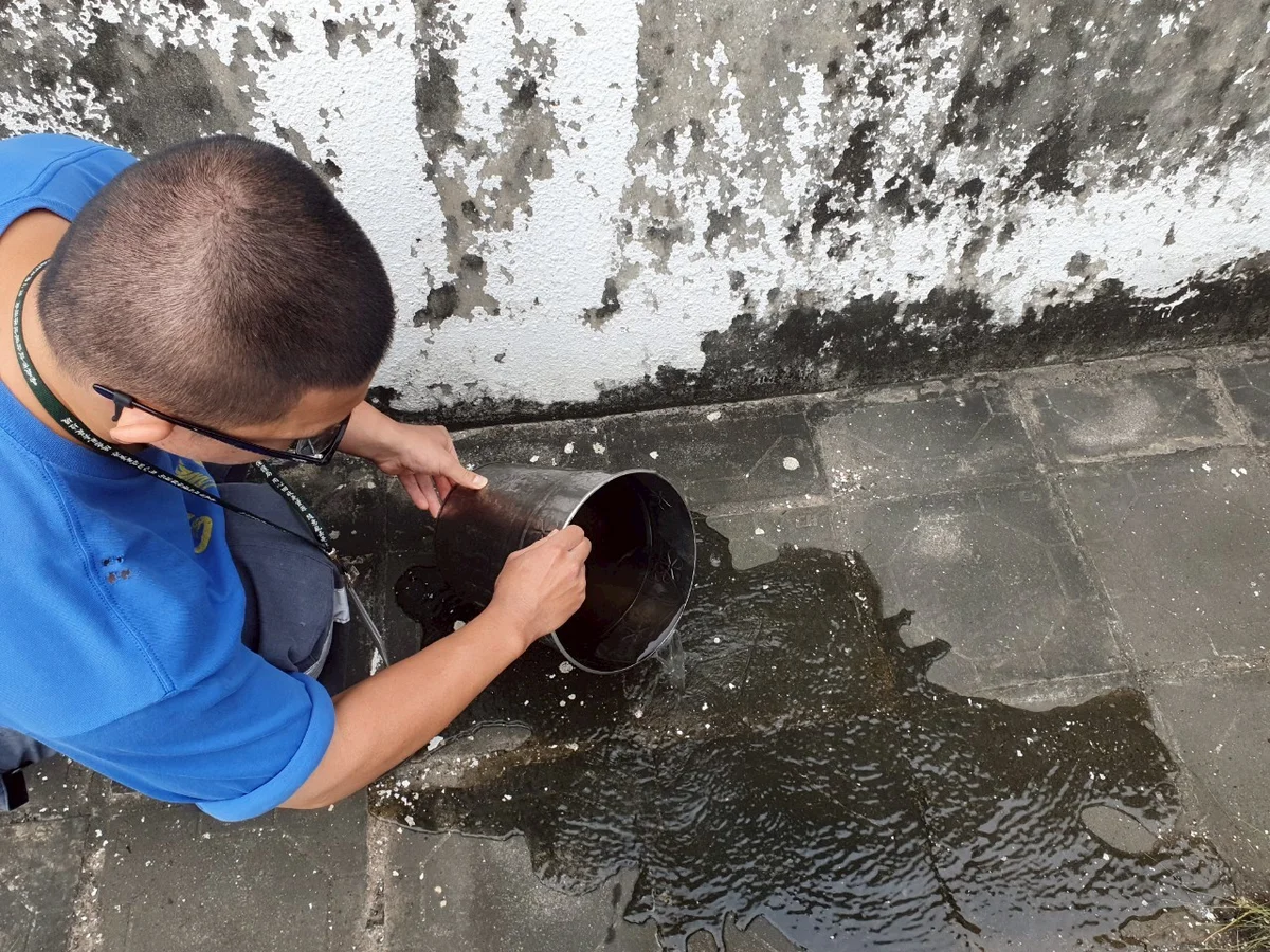 巴威颱風遠離後　嘉義市提醒雨後快做巡倒清刷防登革熱
