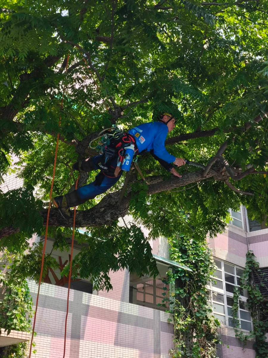 圖片來源:澄傳媒