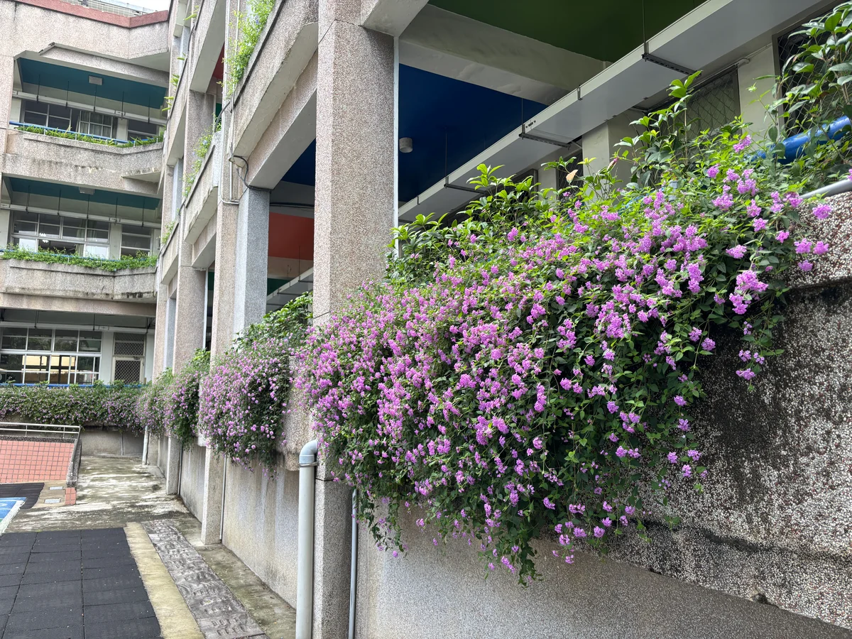 圖片來源:在地新聞
