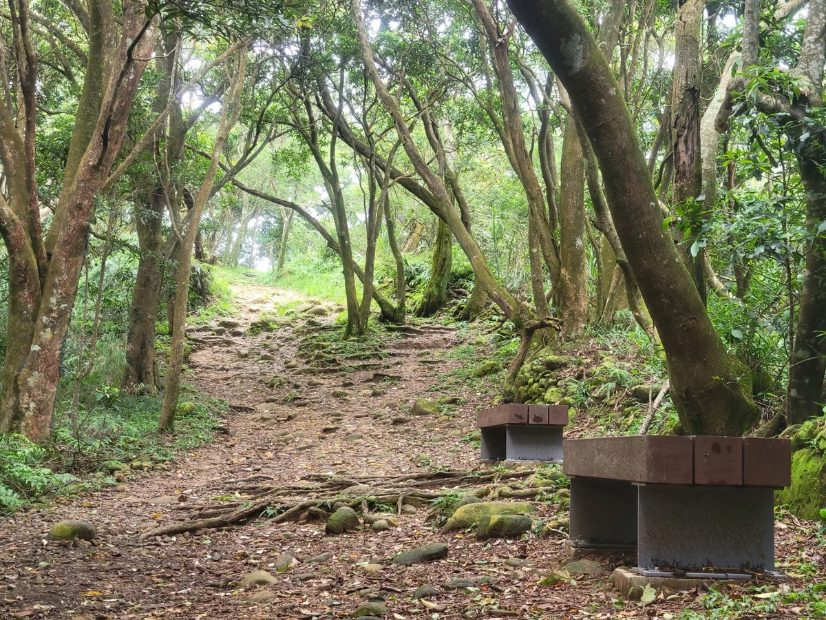 圖片來源:澄傳媒