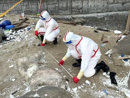 圖片來源:澄傳媒