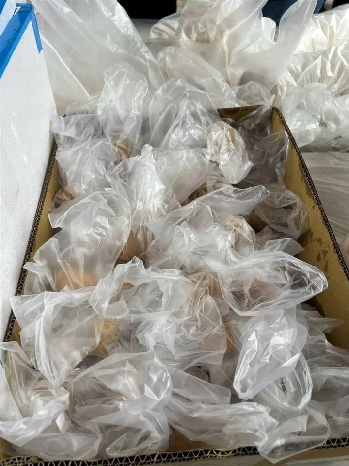圖片來源:澄傳媒