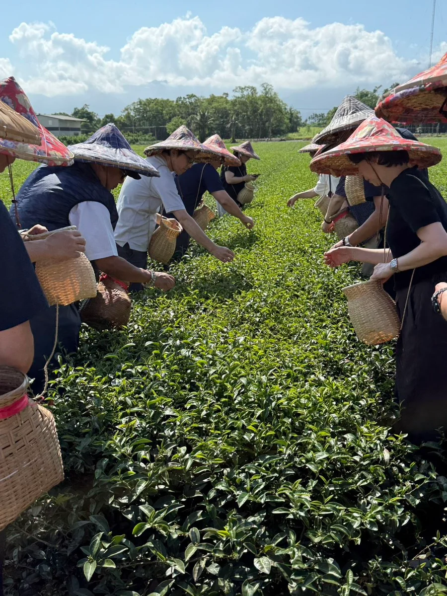 圖片來源:在地新聞