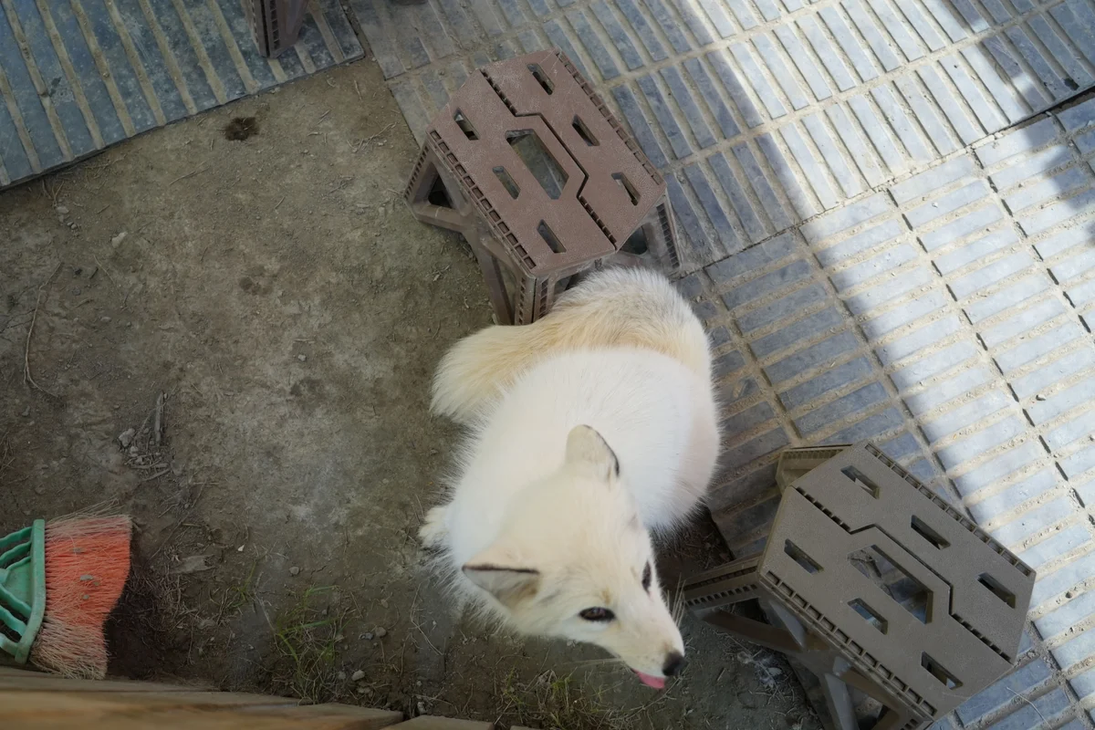 圖片來源：澄傳媒