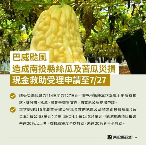 巴威颱風重創南投農作 絲瓜苦瓜現金救助7月27日截止