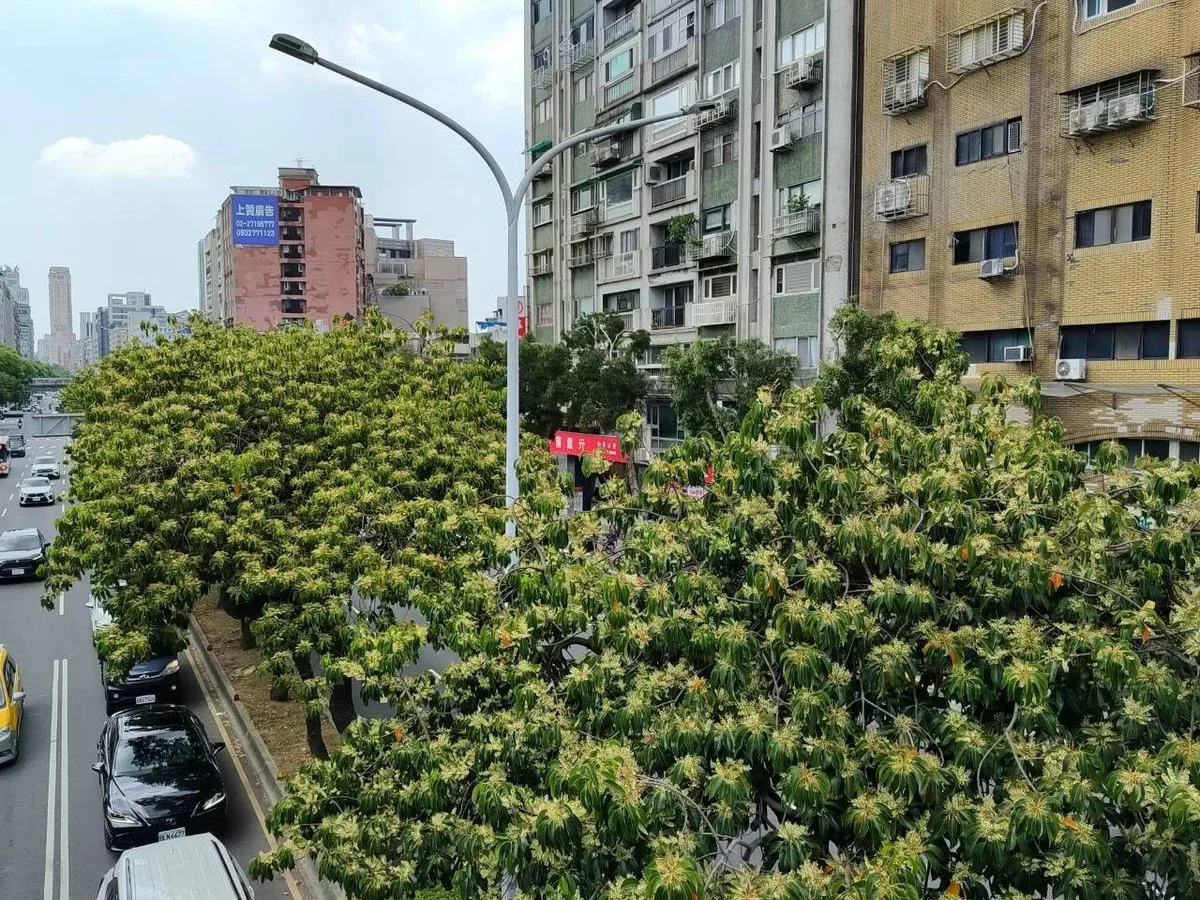 圖片來源：澄傳媒