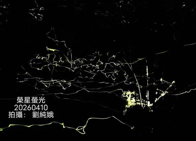圖片來源：在地新聞