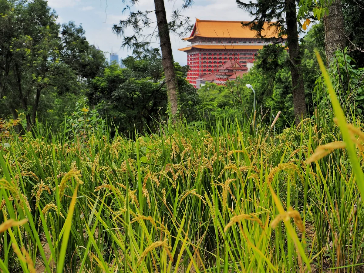 圖片來源:澄傳媒