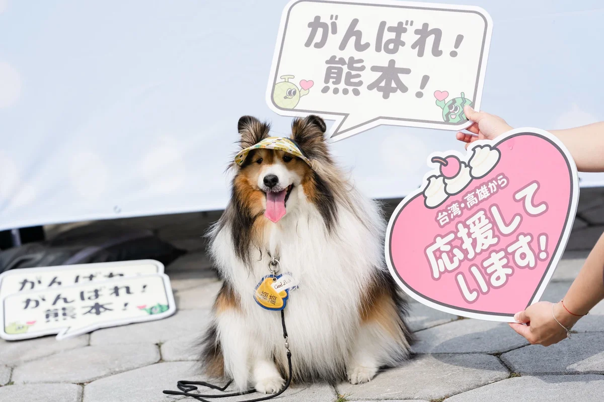 圖片來源:澄傳媒