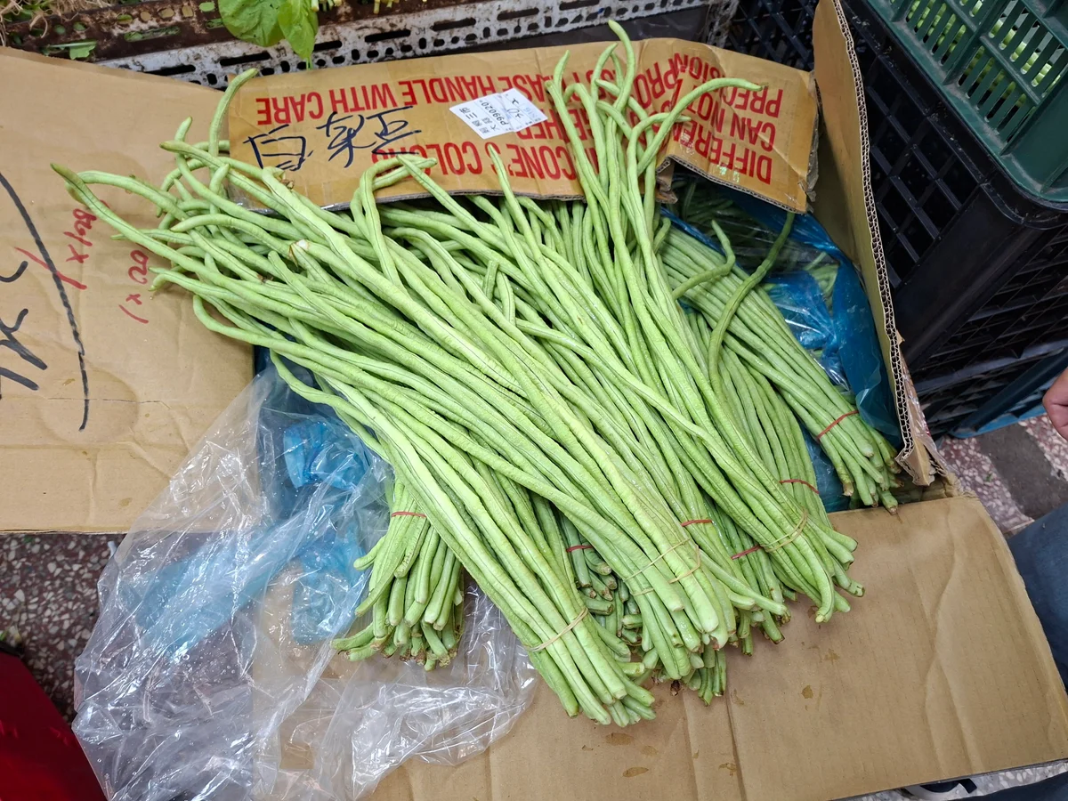 圖片來源:地新聞