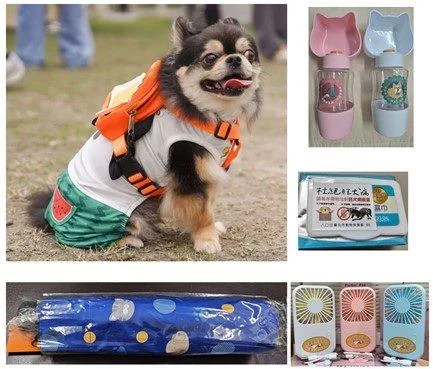 圖片來源:在地新聞