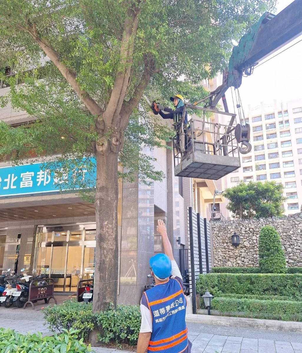 圖片來源:在地新聞